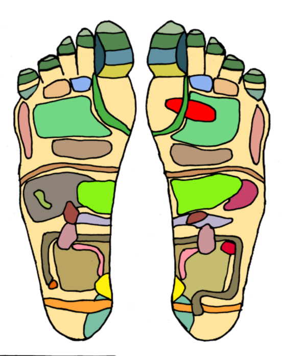 Foot chart1